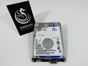 WD 1TB Palmer SMR USB drive (WD10SDZW) — data recovery at our Wirral lab