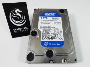 WD Caviar Blue 1TB desktop drive (WD10EALX) — data recovery at our Wirral lab